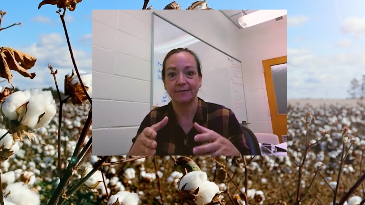 Foundation for Food & Agriculture Research (FFAR) tweet media