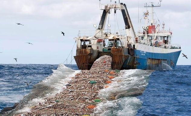 John Oberg tweet media