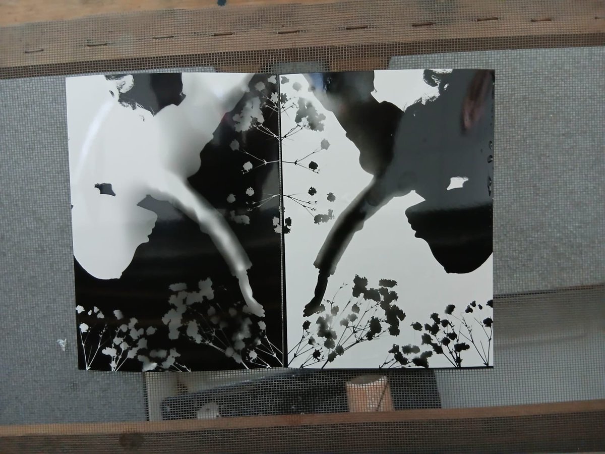 Park Community Academy tweet media