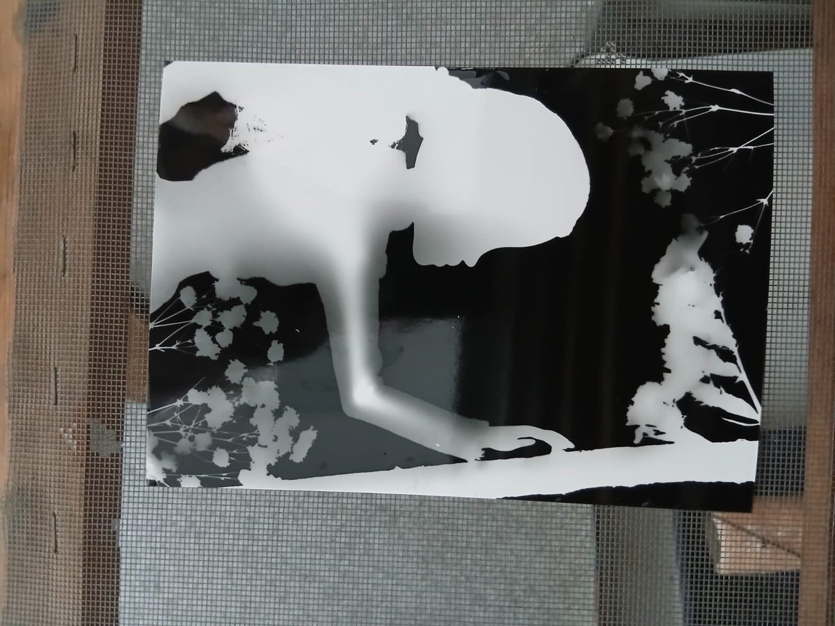 Park Community Academy tweet media