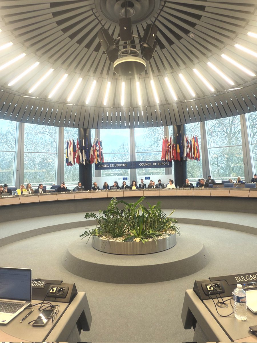 Daniela Cujba tweet media