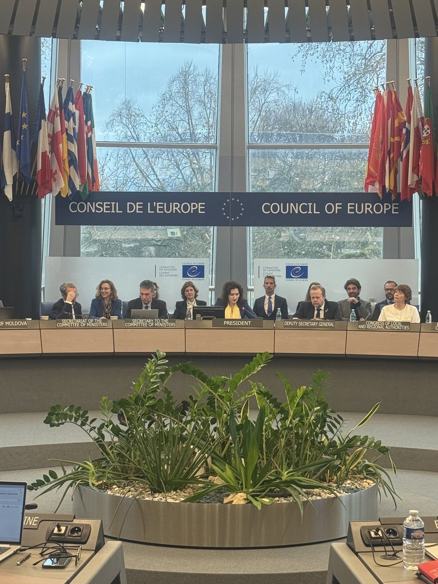 Daniela Cujba tweet media