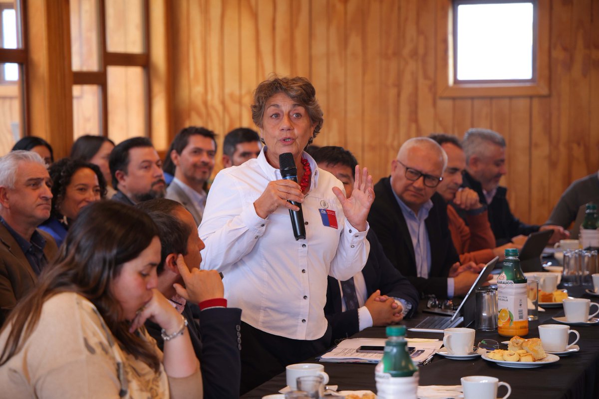 Delegación Presidencial Provincial de Chiloé tweet media