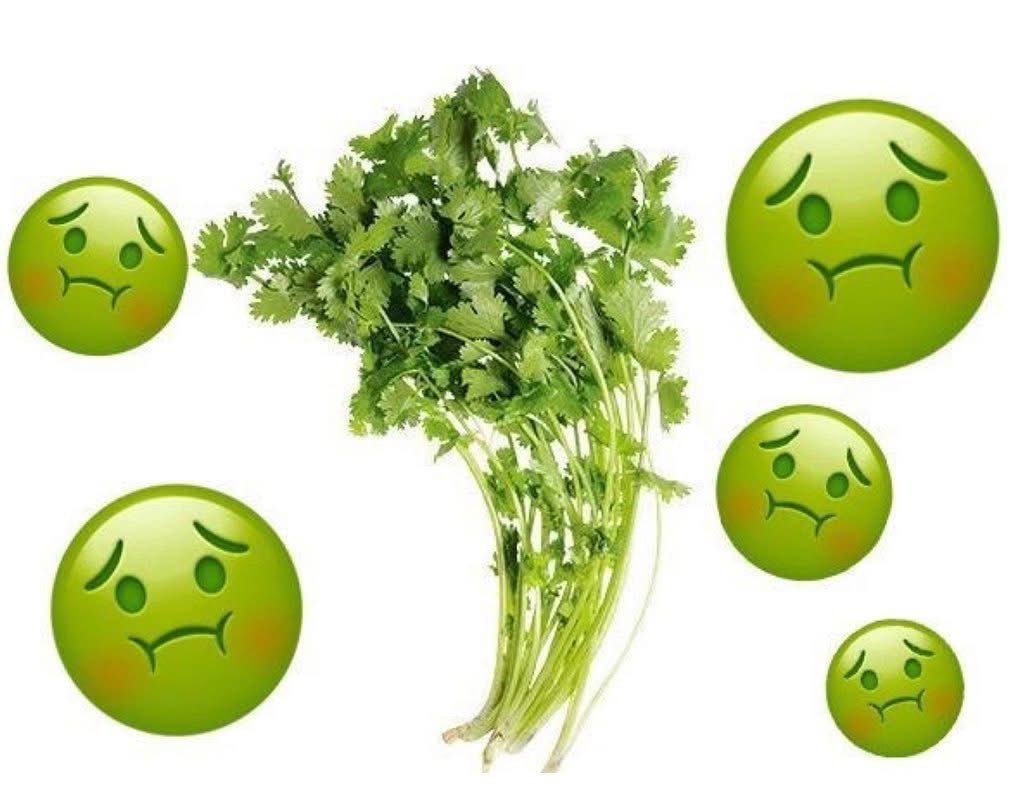 Urbanponds101 tweet media