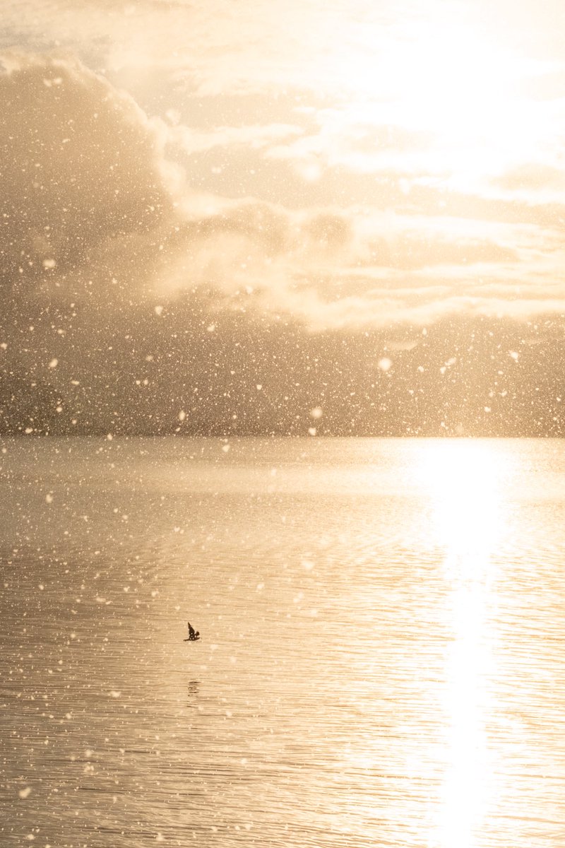 Gm from the north ❄️

objkt.com/tokens/KT1Hxow…