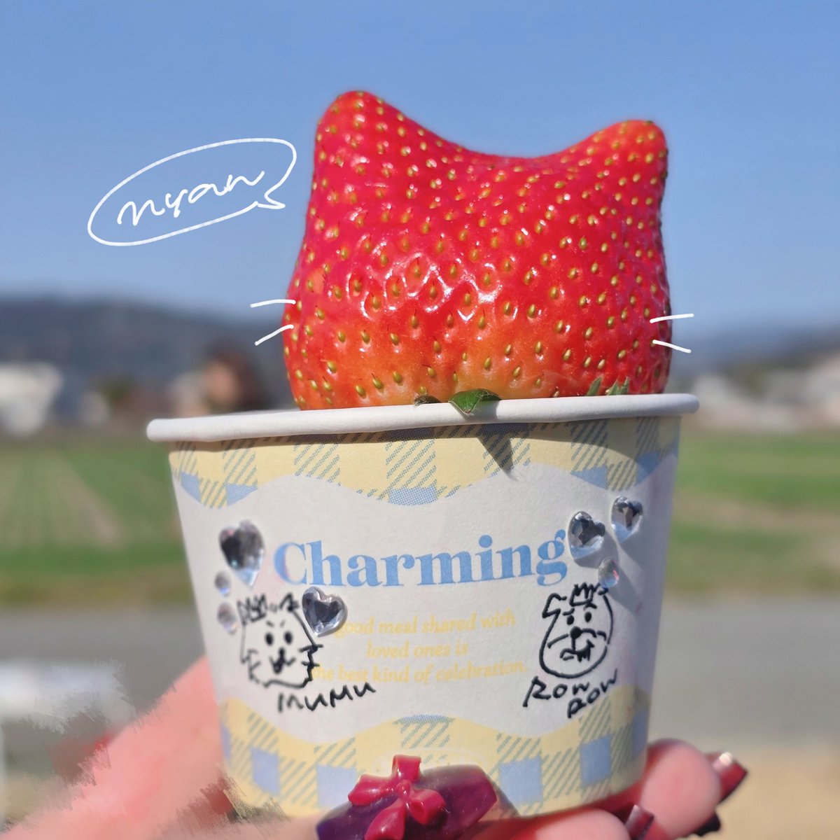 ねこちゃんかわいいからこっちにも載せちゃういちごねこ