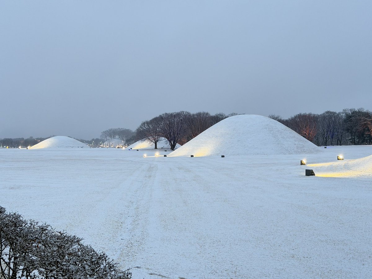 백🎗 tweet media