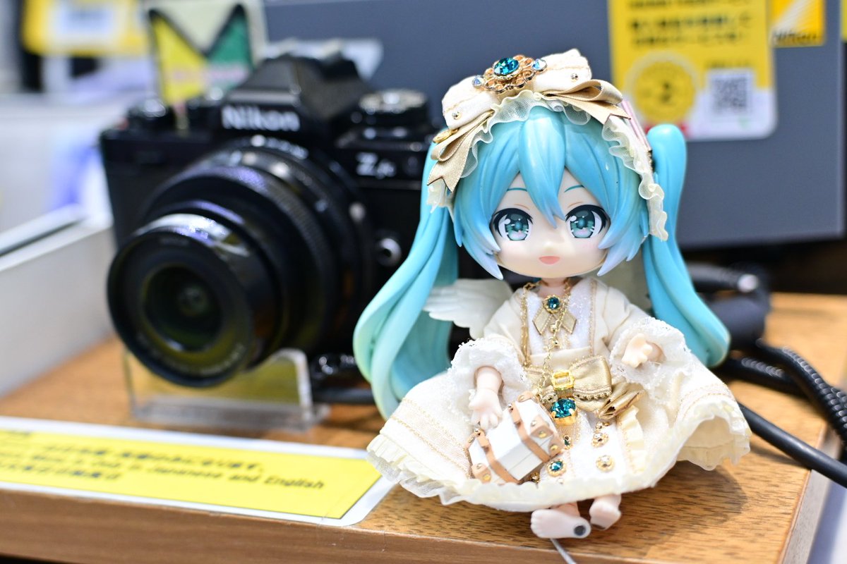 NIKKOR Z DX 16-50mm f/2.8 VRを試し撮り！！ やっぱ自分のレンズでは