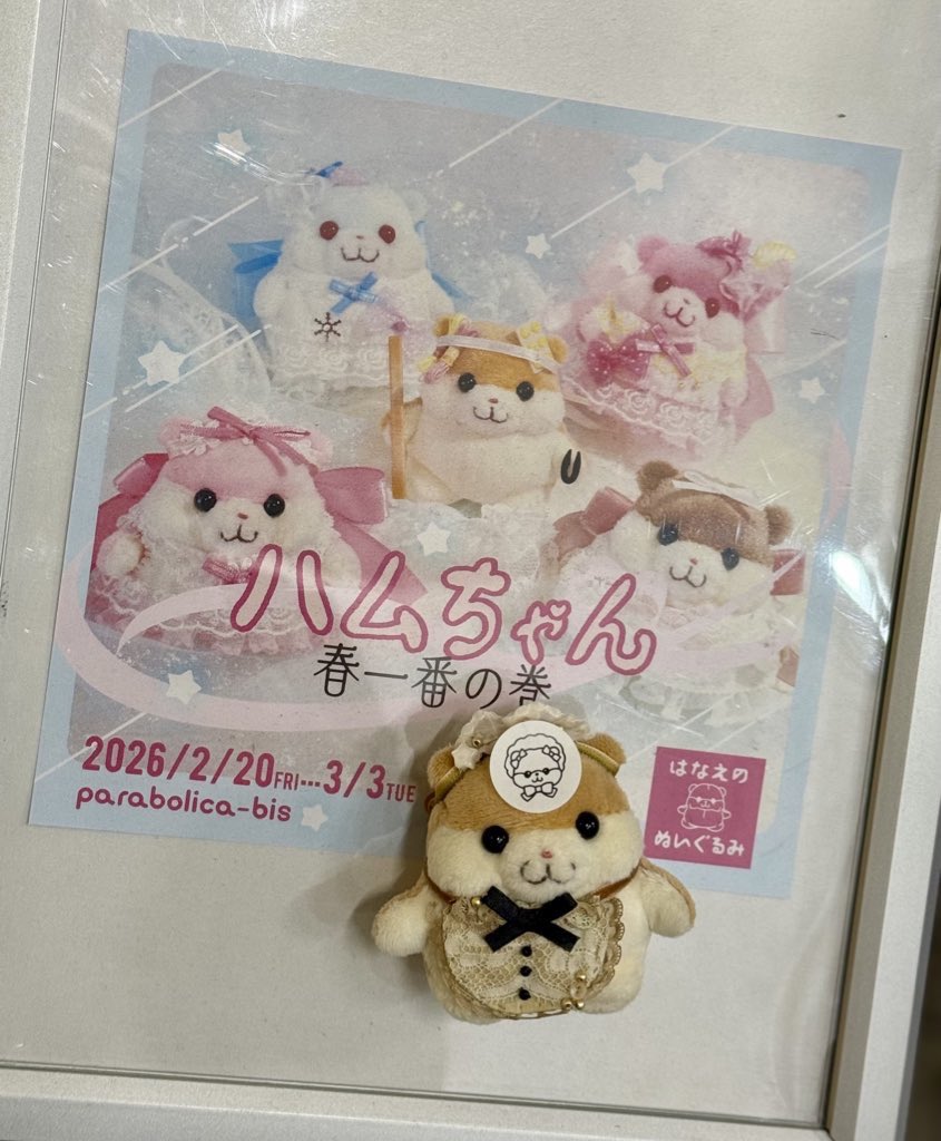 ハムチャーニ先生に次回お会いできるのは2/27〜3/3です！御予約お待ち