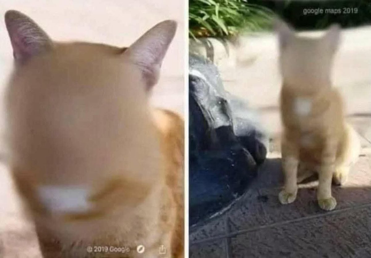 Google Maps' privacy protections are great