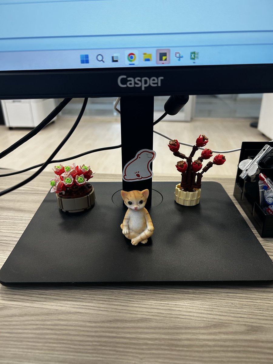 Masamın yeni sahibi bağdaş kuran kedy 🥹