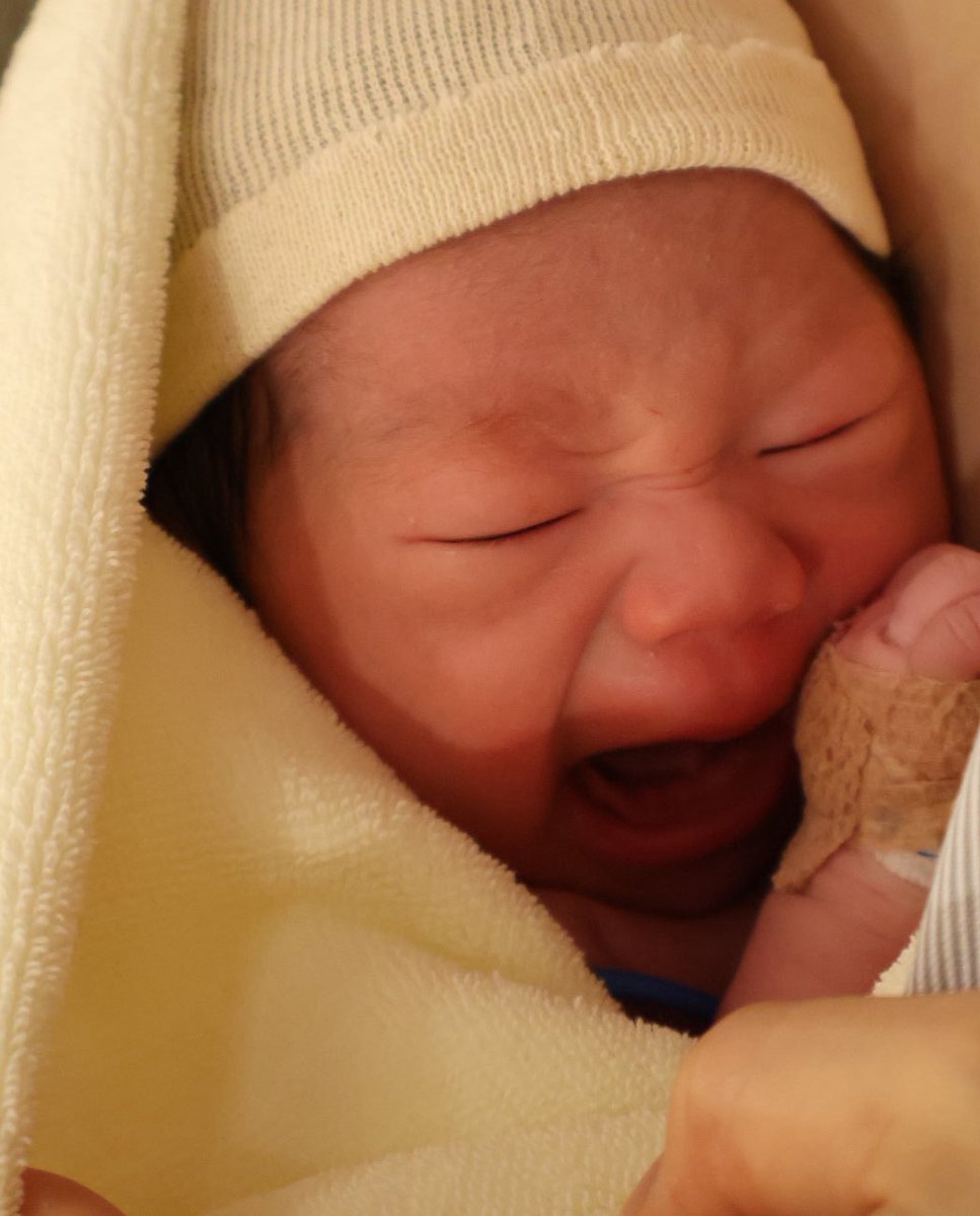 横嶋 彩 #9🐗/ アランマーレ富山 tweet media