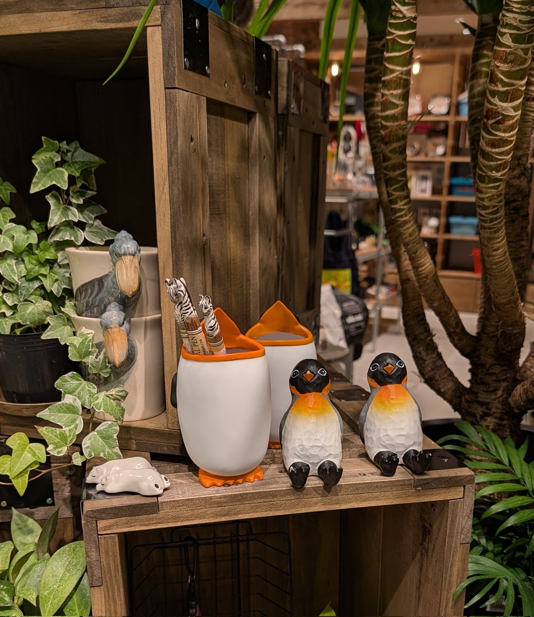 今年の春夏のニコアンドはペンギンが熱い！