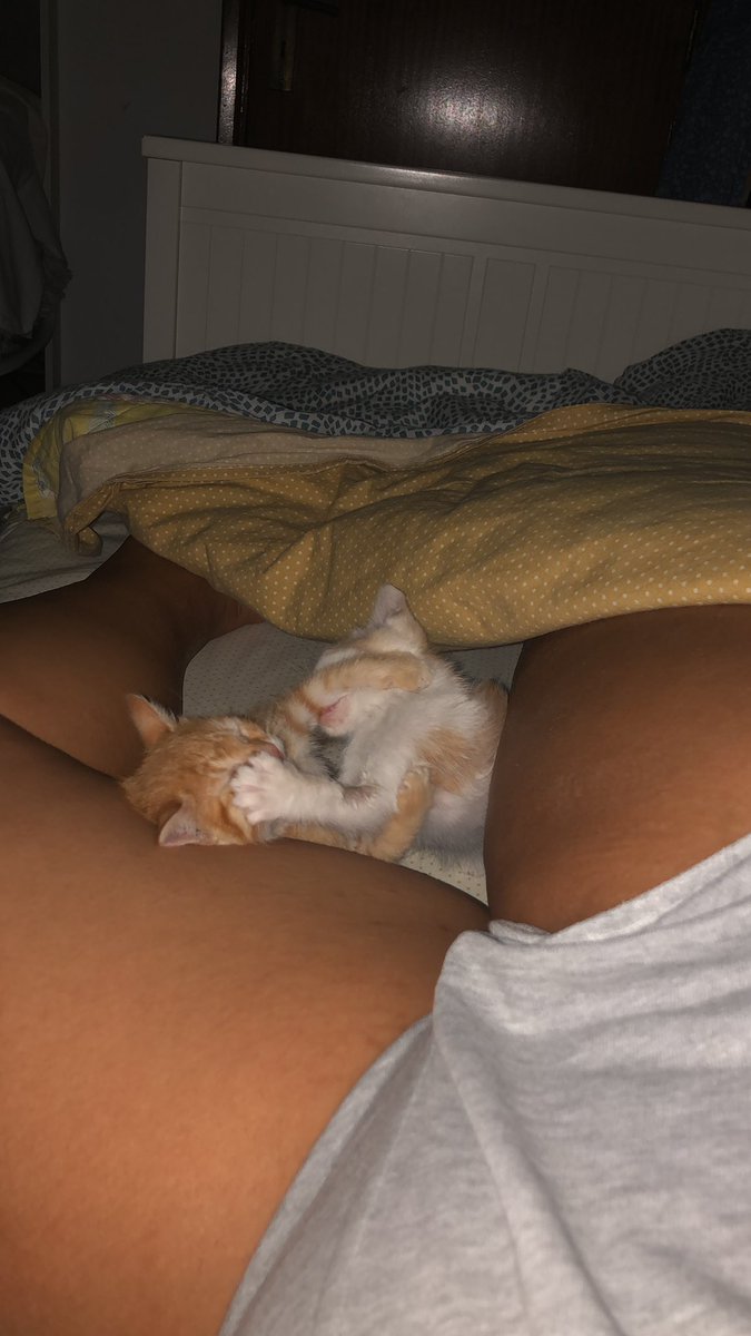 Lembra me estas duas a porrada