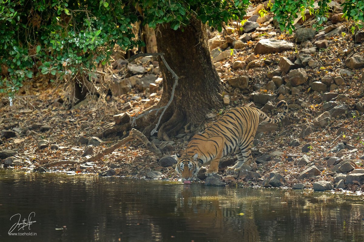 Jayanth Sharma tweet media