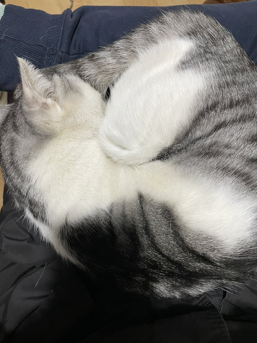 帰宅後、即
寝床にされた私の足