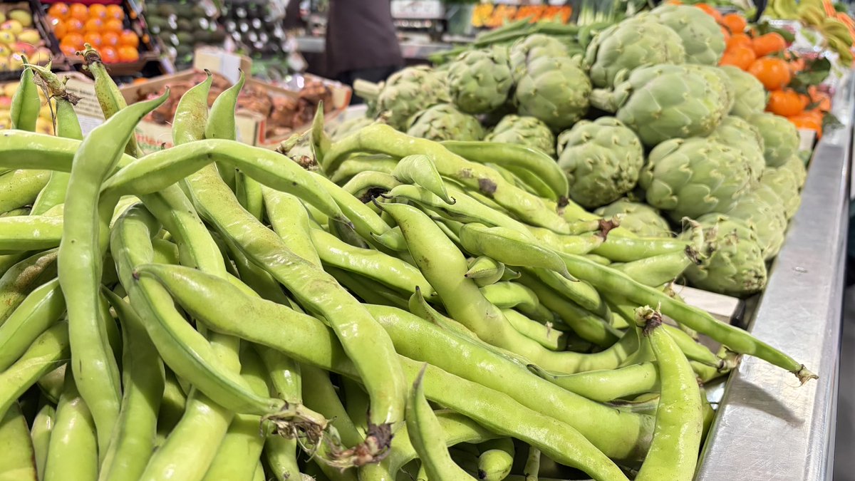 Javier Villegas tweet media