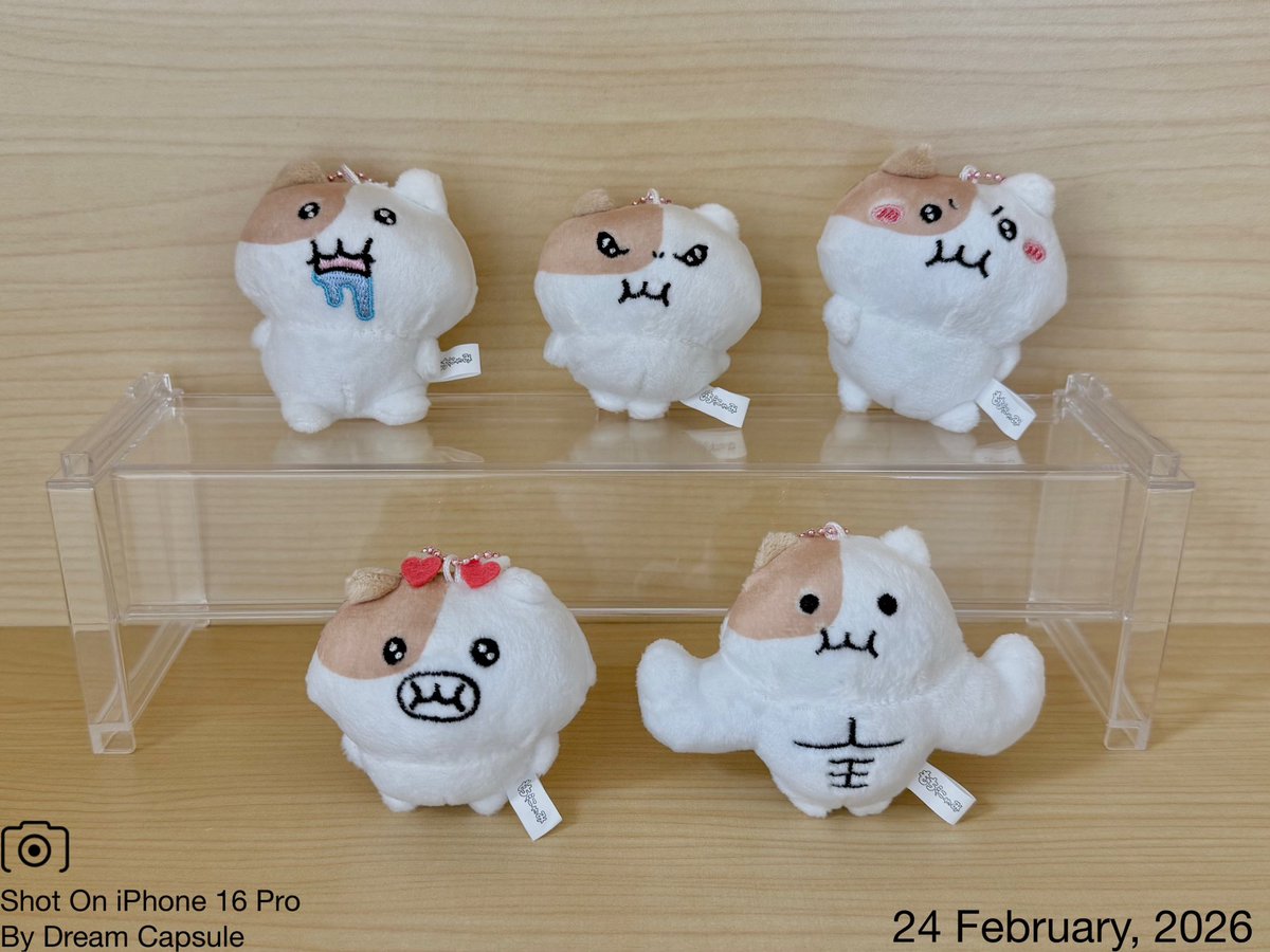 音 (@lll_xtj) / Posts / X