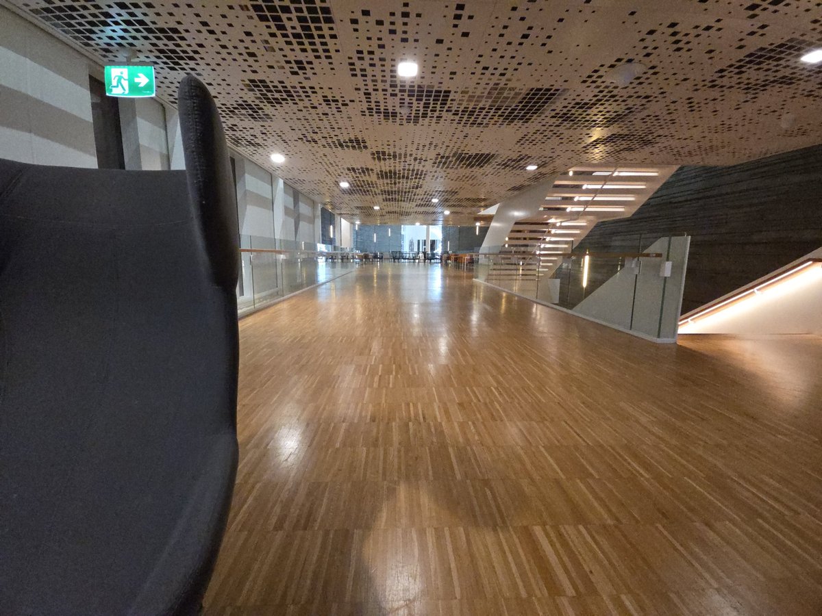 Rothritter tweet media