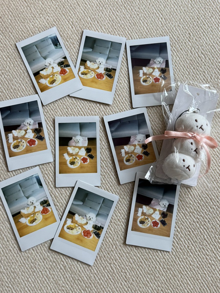 먼지단🐾 tweet media