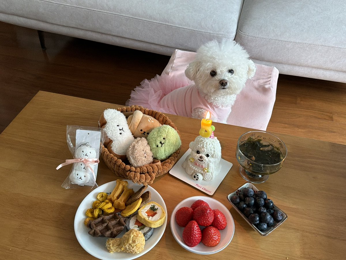 먼지단🐾 tweet media