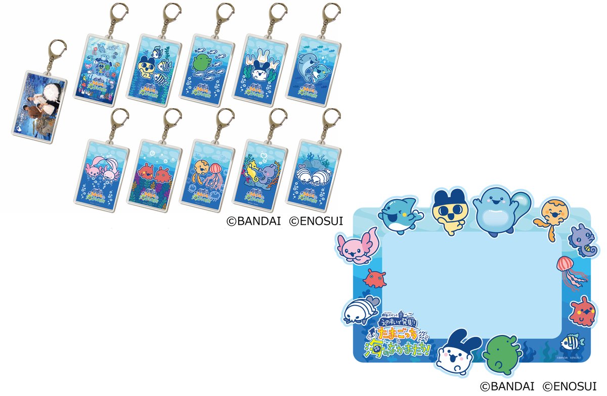 新江ノ島水族館×たまごっち 特別イベント3/14(土)～期間限定🌈 まめっ