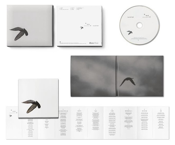 루시드폴 Lucid Fall tweet media