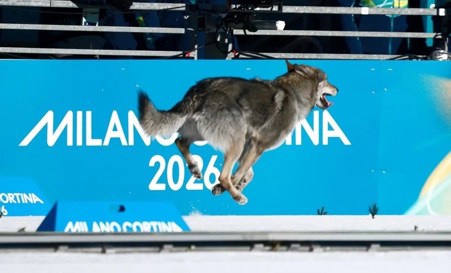Le Olimpiadi sono finite, ci sentiamo tutti orfani. Di cosa, di preciso?
Durante un evento condiviso accade un fenomeno che si chiama risonanza emotiva, ciascuno di noi funziona da ripetitore per gli altri. Una specie di mente a sciame di Stranger Things meno sanguinosa. Oppure