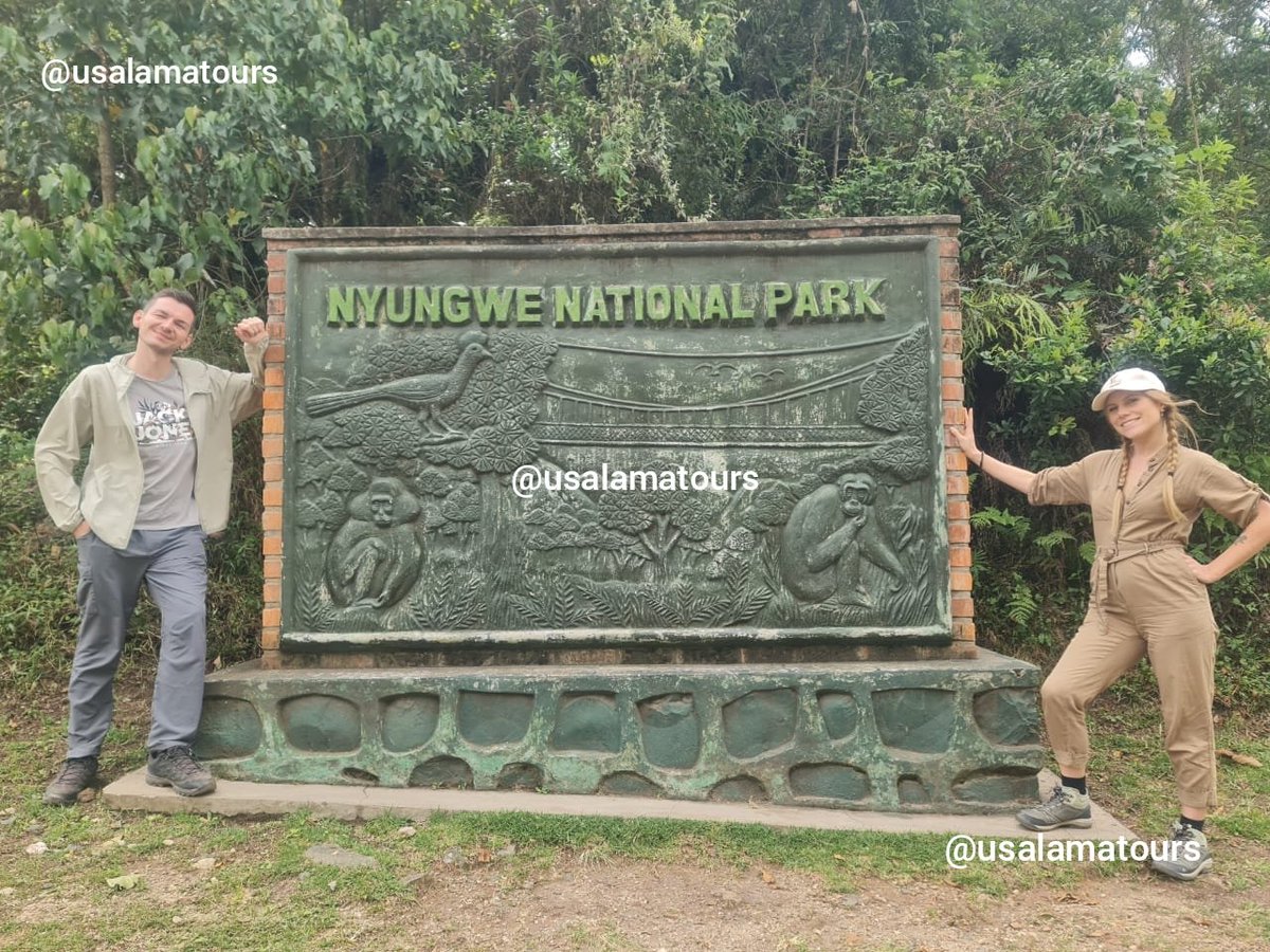 Good morning from #nyungwenationalpark. The best place u need to visit while in #Rwanda. 

Our adventurers are focused during the briefing abt #canopywalkway #adventure. Here we are! #UsalamaTours #vacationmood 

📩usalamatours@gmail.com

#travel #naturelovers #travelphotography