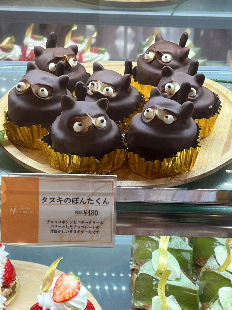 palmtree_616's tweet photo. キョロキョロ👀 https://t.co/d67ng7vlSJ