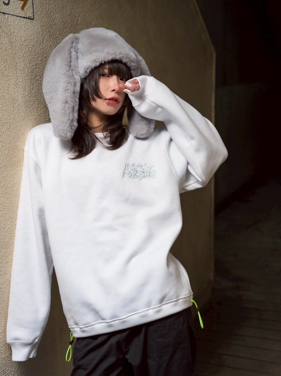 皓 shiro (@x666hyz) / Posts / X