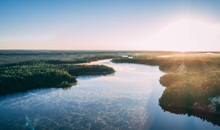 RankiaPro Italia tweet media