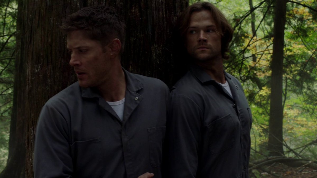 Those flannels became permanent for my sake, seeing those tits 24/7 would have been enough plot for me