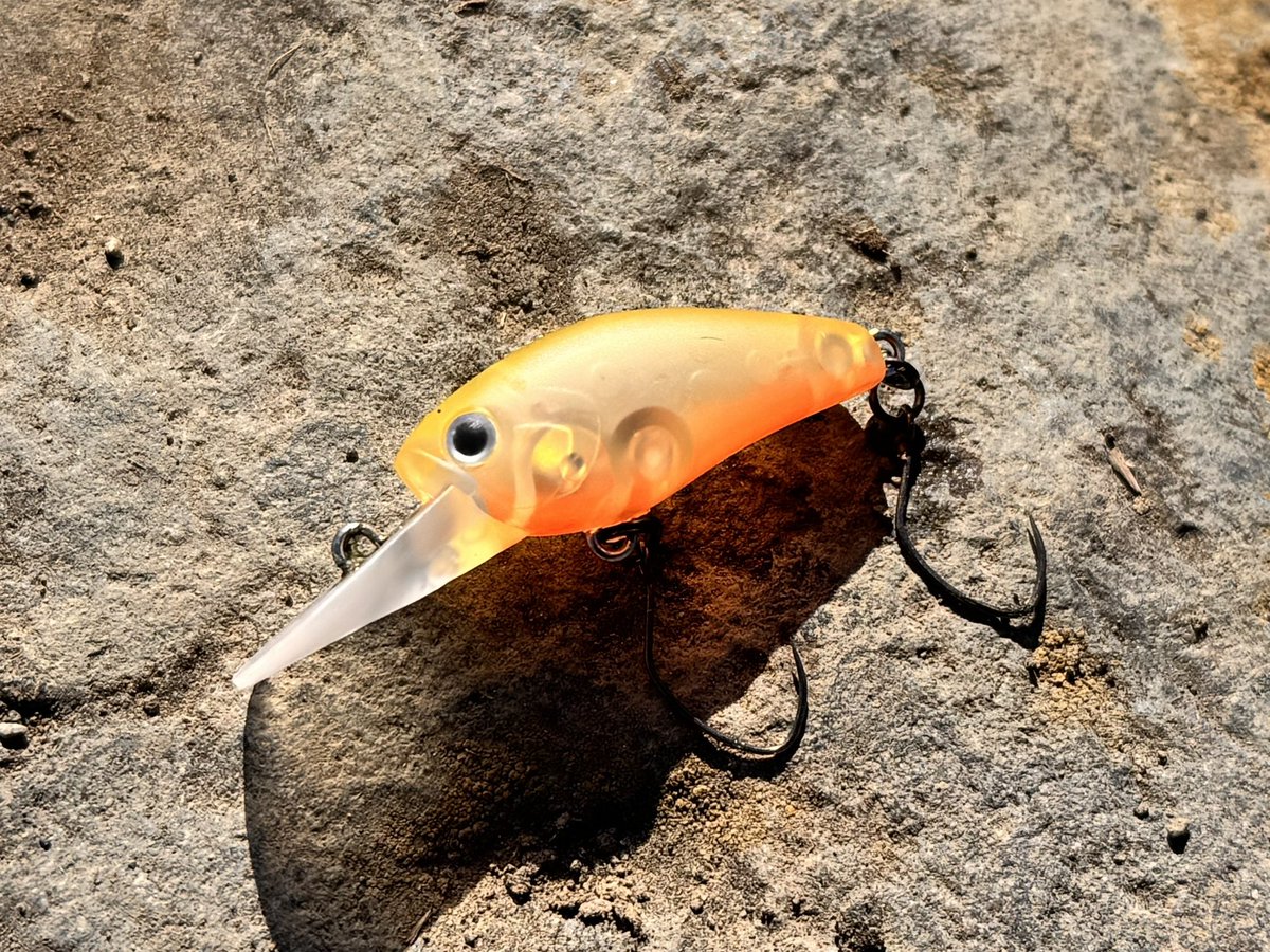 ティムコ トラウトフィッシング (@tiemco_trout) / Posts / X