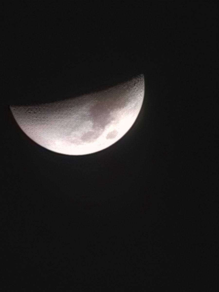 Joni 🕷️ tweet media