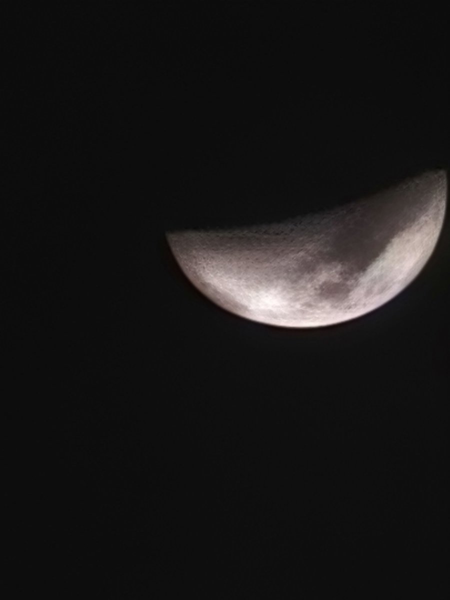 Joni 🕷️ tweet media