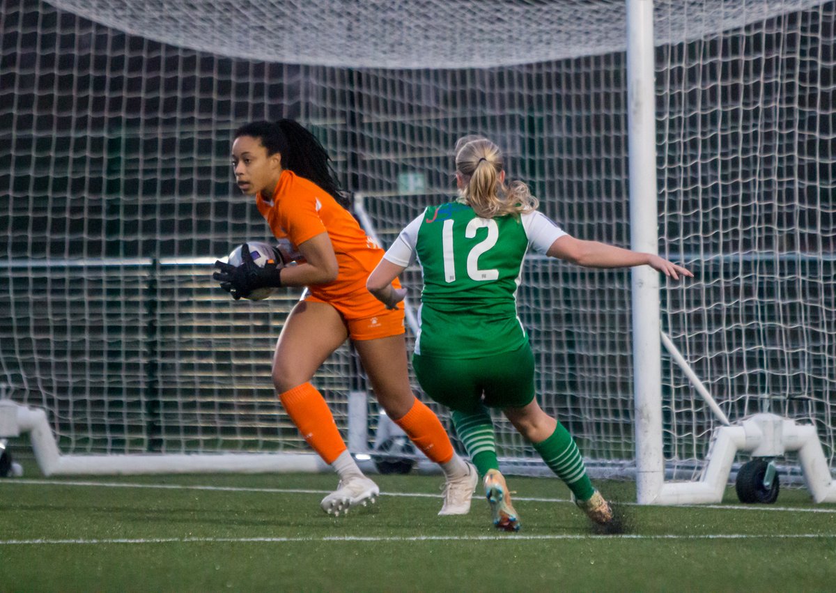 Since 71 tweet media