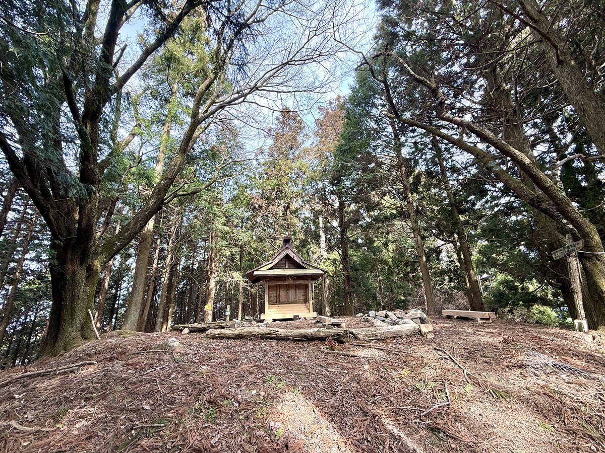 hmiya317's tweet photo. 奈良•吉野の龍門岳へ

日本三百名山ですが…
登山口から山頂まで眺望は皆無ですね💦

2月やのに春の陽気でしたが、ずっと日陰なので涼しくて歩きやすかったです

これで近畿圏内にある日本百名山・二百名山・三百名山は全て登頂することが出来ました😌 https://t.co/I5dQWBTrJX