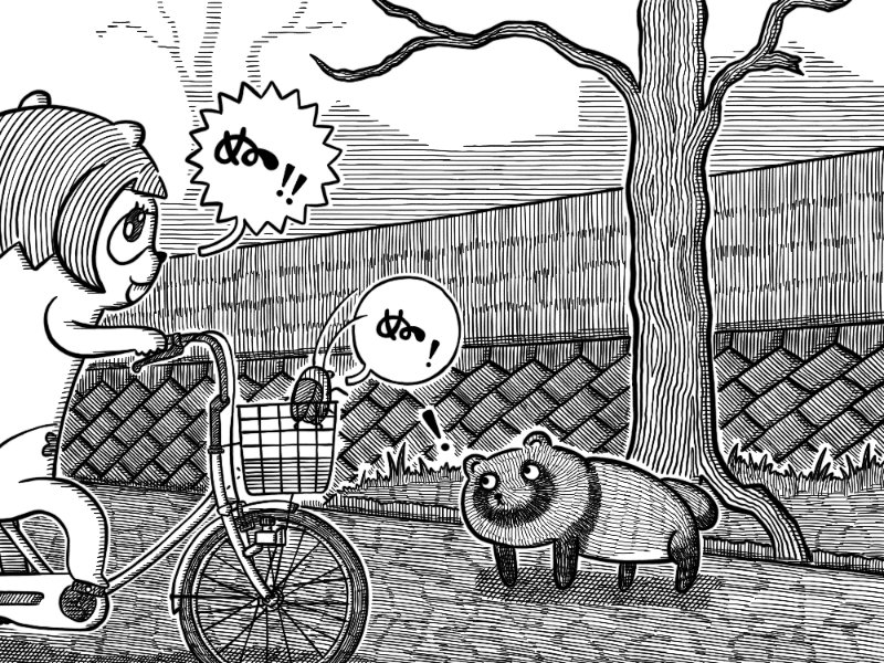 駅からの帰路、たまに尻だけ藪から 覗かせていた狸ですが、 本日