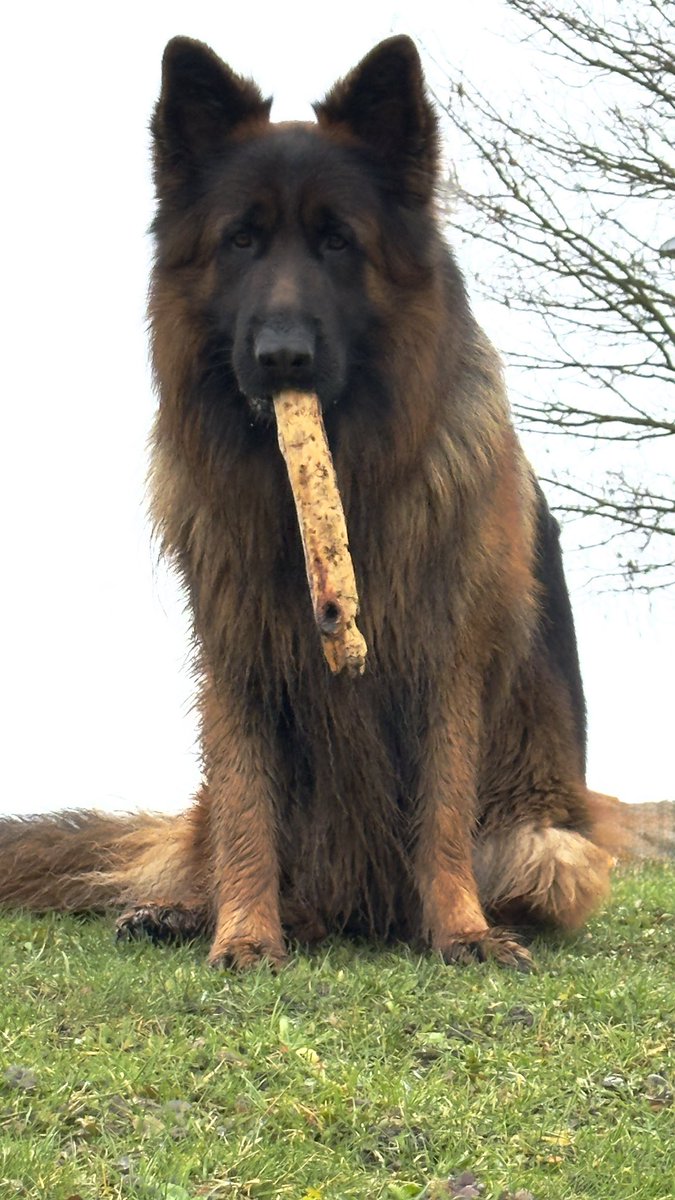 StormLadyHarmsDepp🏴‍☠️🦜🐒☠️ tweet media