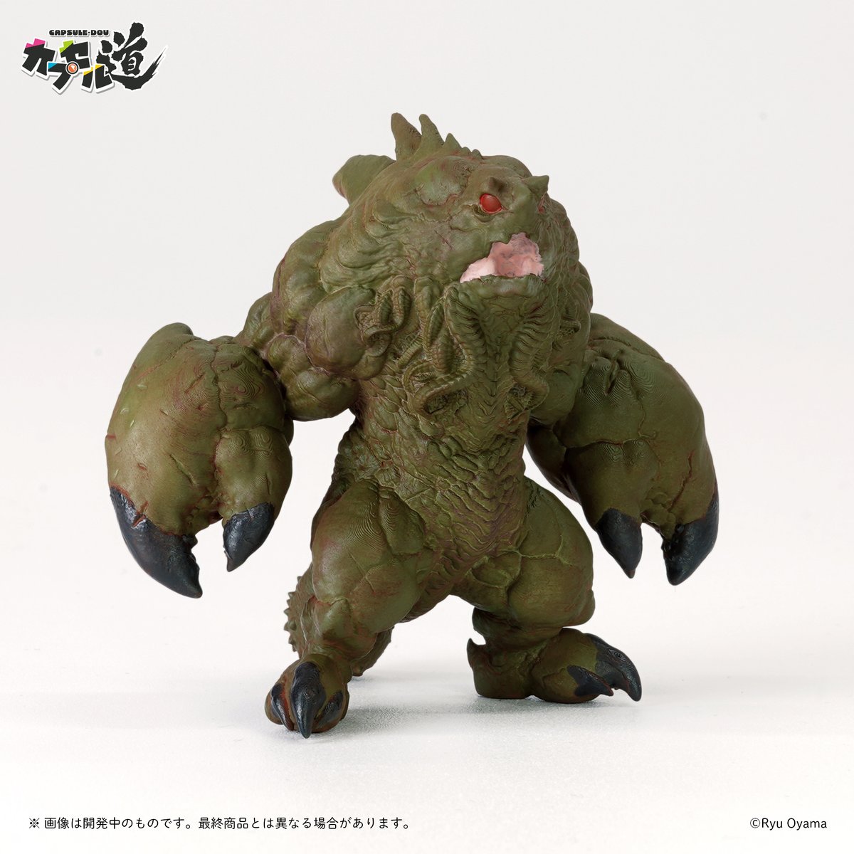 カプセル道【公式】 tweet media