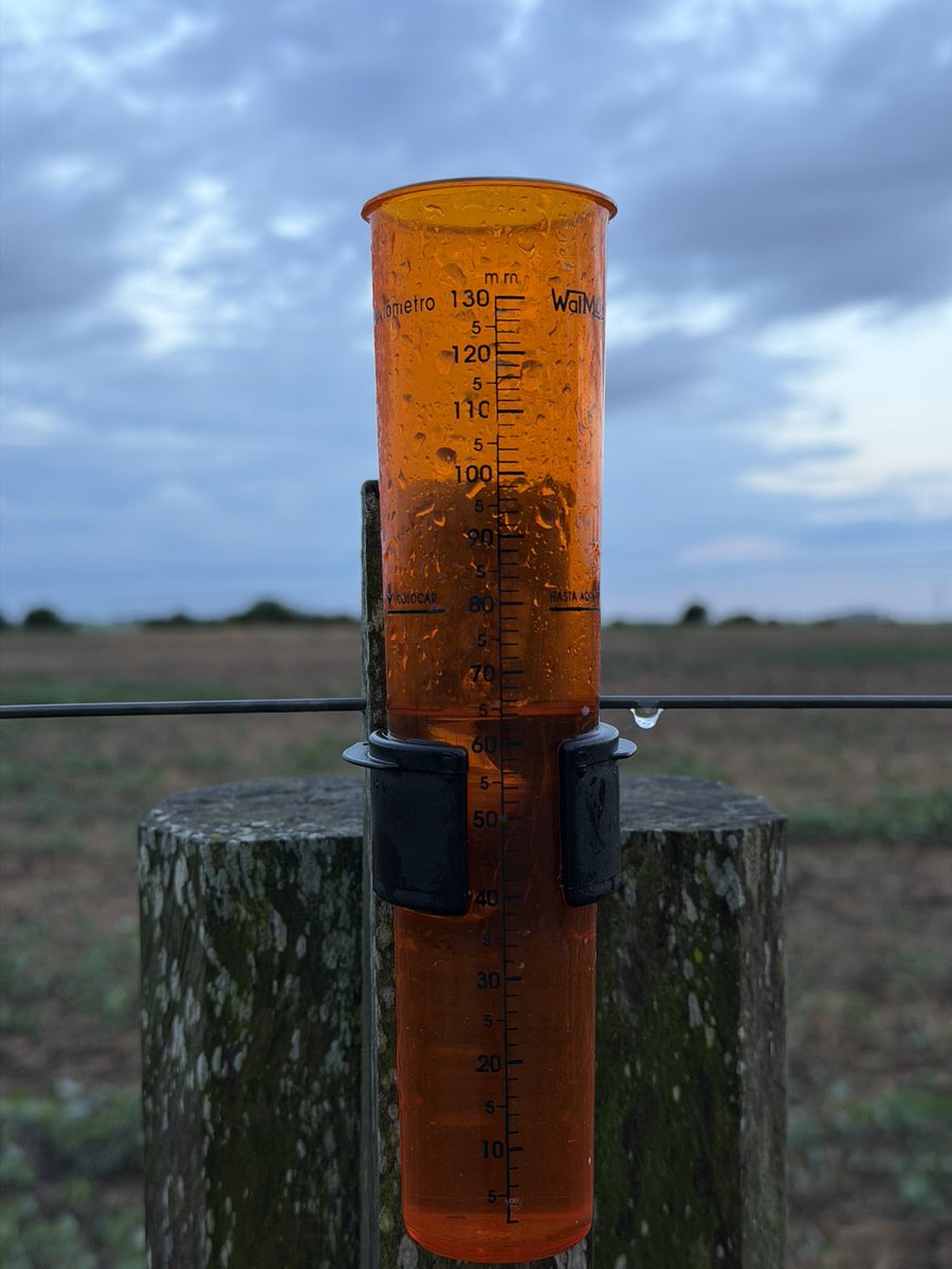 Fernanda Guerra👩🏼‍🌾🇺🇾 tweet media