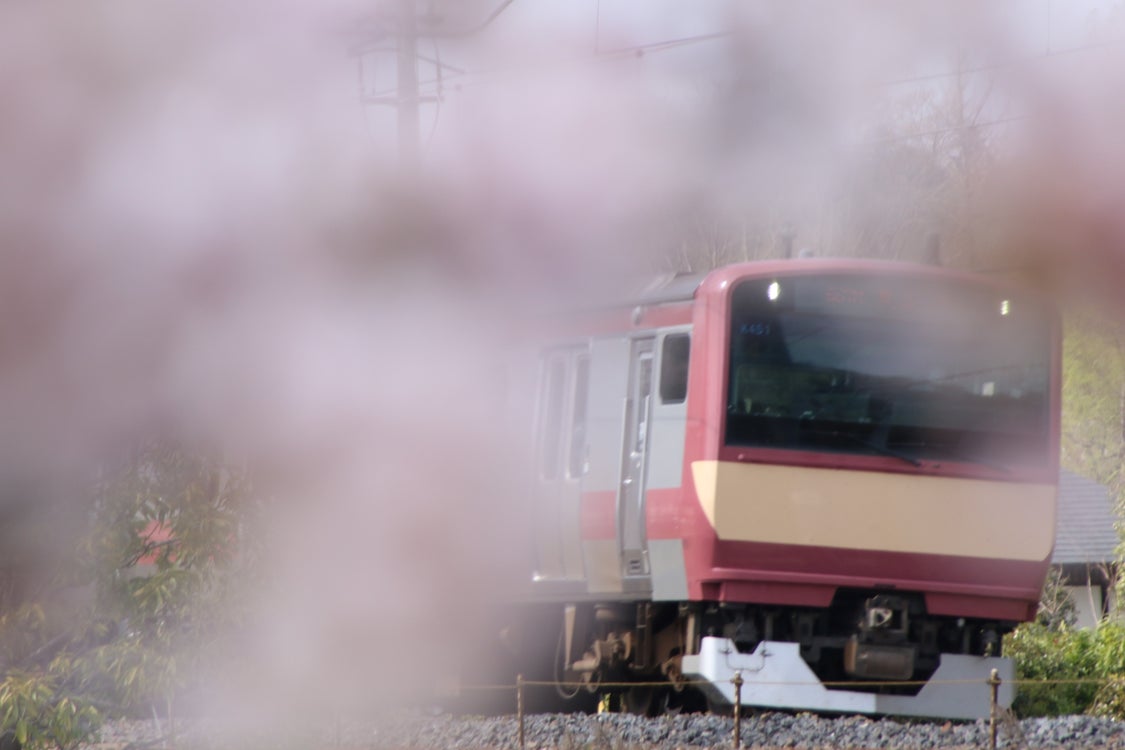 kero_oyagy's tweet photo. 今年は見れないの?
#K451 #赤電 https://t.co/6nAF8y7cny