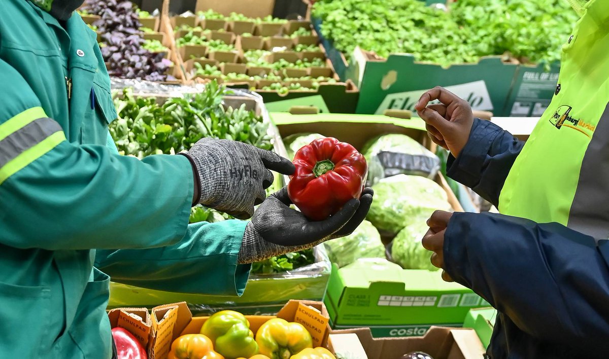Meet 24-year-old Lesego Mpho Mohube, a commercial spinach, cucumber, carrot, green pepper, and onion farmer based in Gauteng. 

Lesego has a diploma in Agriculture in Mixed Farming from the Potchefstroom College of Agriculture. As well as several short courses from AGRI🏅 

She