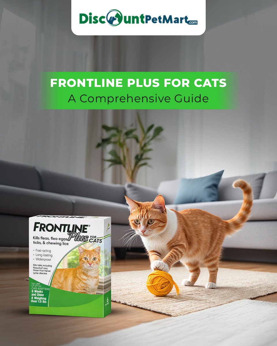 DiscountPetMart's tweet image. How long does Frontline Plus Cat Flea Treatment last?
Get the facts ⬇️
➡️ Monthly protection
➡️ When to reapply
➡️ Tips for best results
Visit : discountpetmart.com/blog/frontline… 🐾 #FrontlinePlus #CatHealth