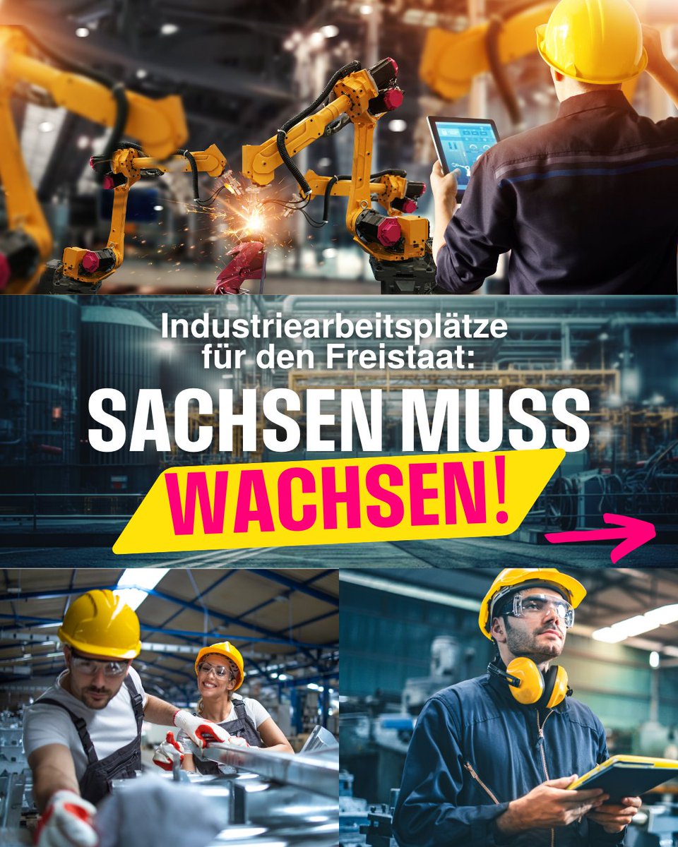 FDP Sachsen tweet media