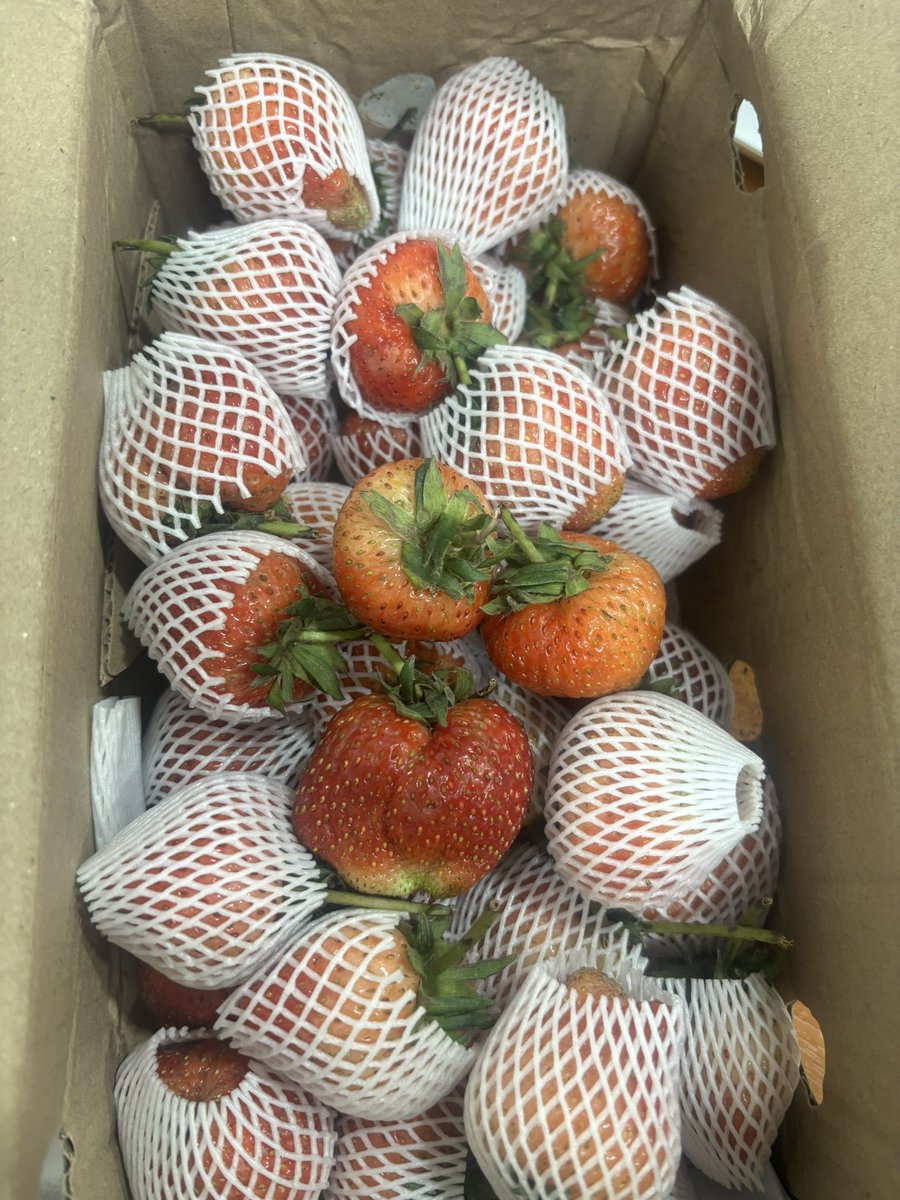 เฟu💥 tweet media