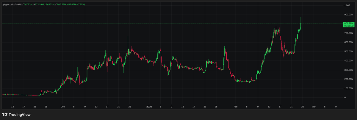 $Pippin will reach 1B soon

insane