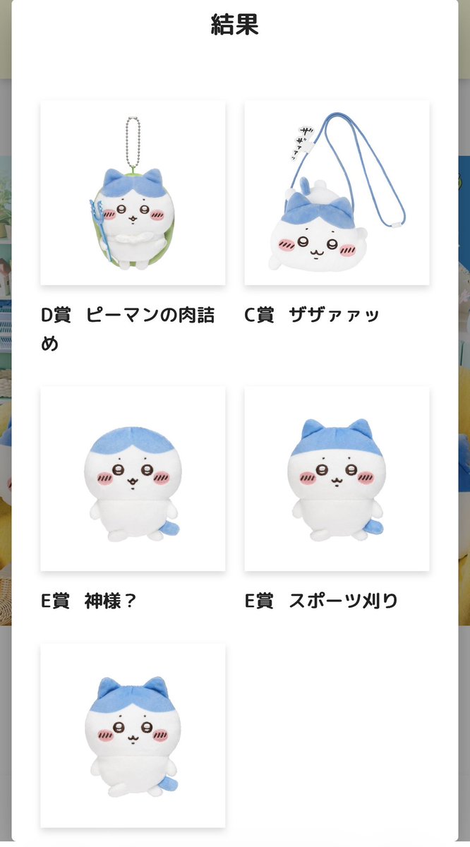 ンちゃん❕ tweet media