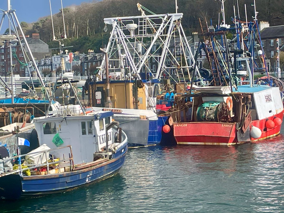 gerryelma's tweet image. #AlphabetChallenge

#WeekHforH 

The #Harbour at Rothesay, Isle of Bute.